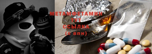 ПСИЛОЦИБИНОВЫЕ ГРИБЫ Новозыбков