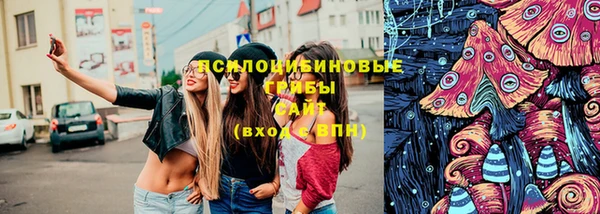гидропоника Абинск
